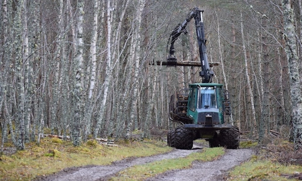 AR400 | AR500 | AR450 | AR600 | steel plate |   Tradepass Forestry